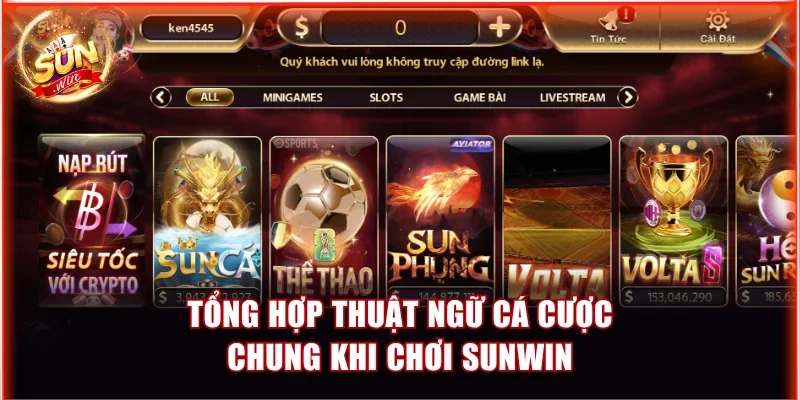 Các Thuật Ngữ Cá Cược Cần Biết Khi Chơi Sunwin Đầy Đủ Nhất 2 Tổng hợp thuật ngữ cá cược chung khi chơi Sunwin